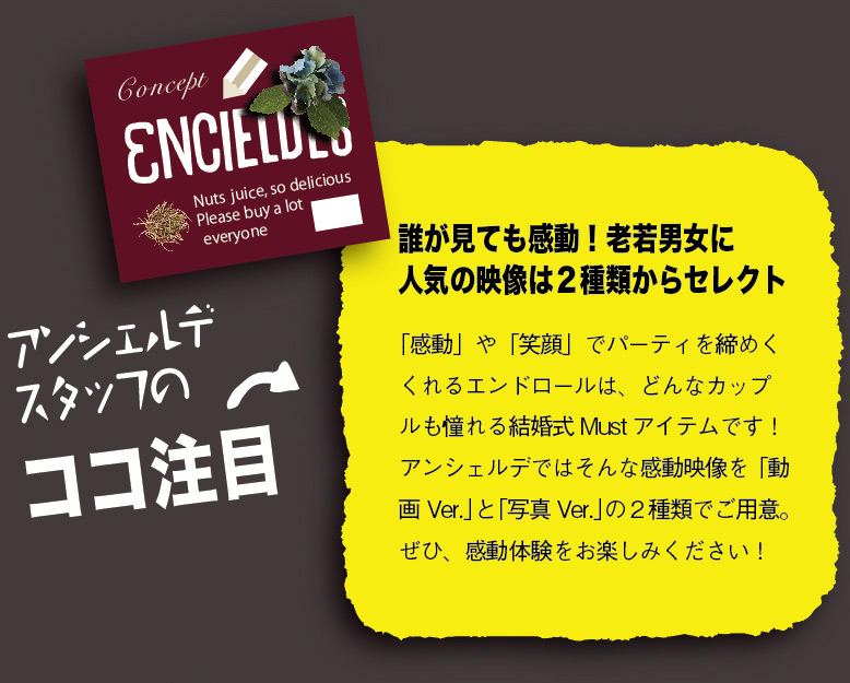 アンシェルデスタッフのココに注目